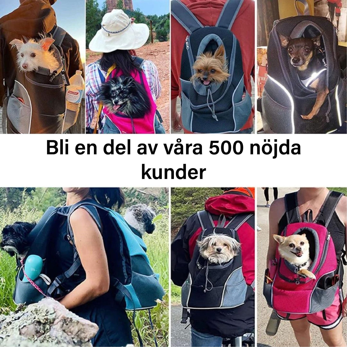 Carvallo – Tillsammans överallt på väg