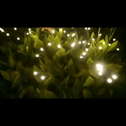 Luxora Solar Firefly Lights – Dekorativ LED Utomhusbelysning för en Varm &amp; Lekfull Glöd