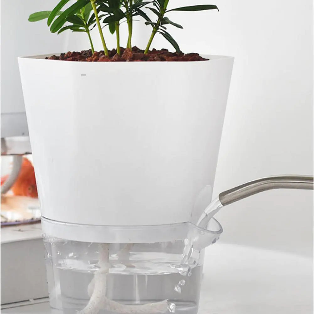 AquaPlanter - Smart Blomkruka och Miniakvarium i Ett
