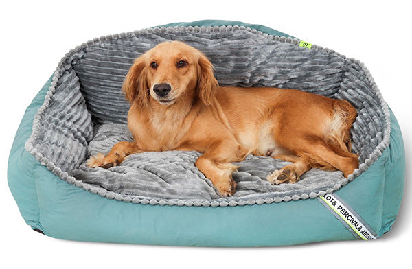 Pawelux All-Season Hypoallergenic Thick Dog Bed - Mjuk, Varm &amp; Maskintvättbar