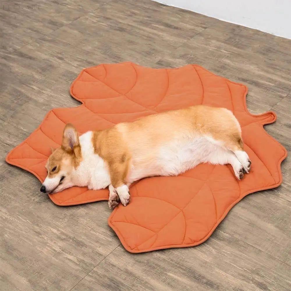 Leaf - Hundedecke i bladform