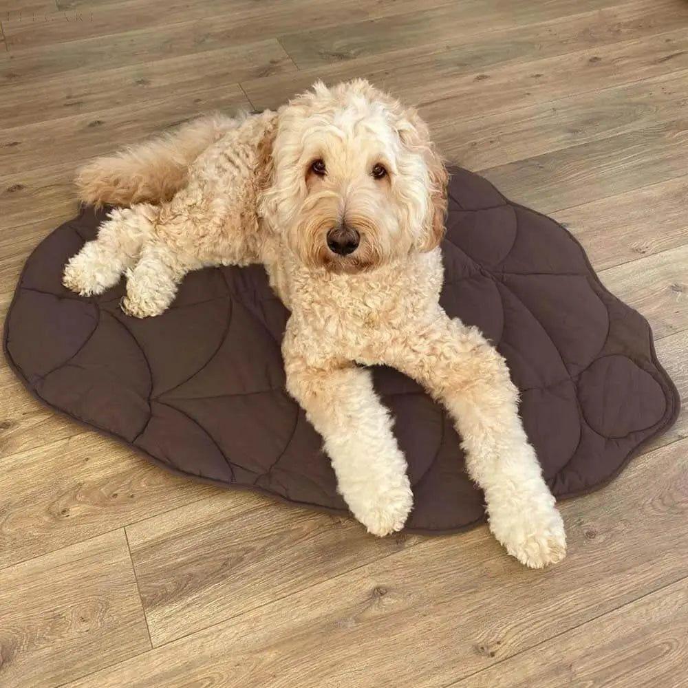 Leaf - Hundedecke i bladform