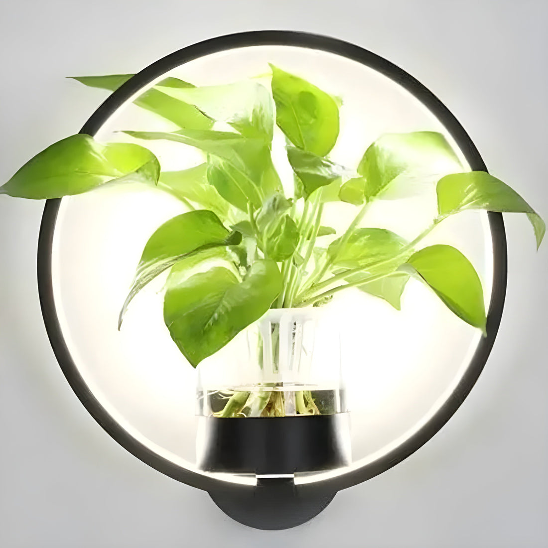 AisleBloom Light - Nordiska växt-LED-vägglampa
