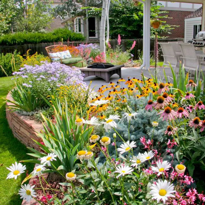 Carvallo – Färgglada blommor året runt