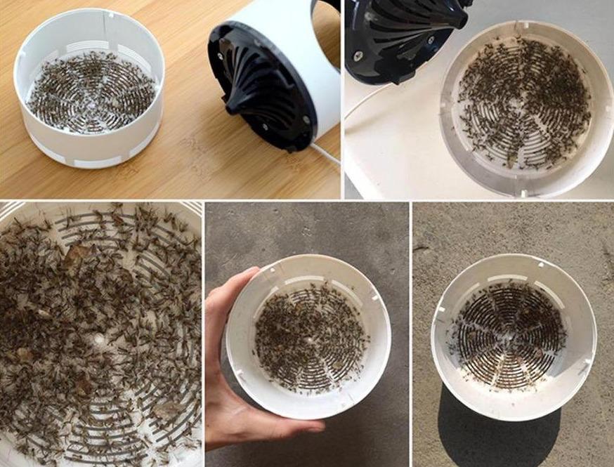 Carvallo UV Mygglampa Elektrisk | Tyst & Kemikaliefri | För Inomhusbruk | Med USB & Uppsamlingstråg