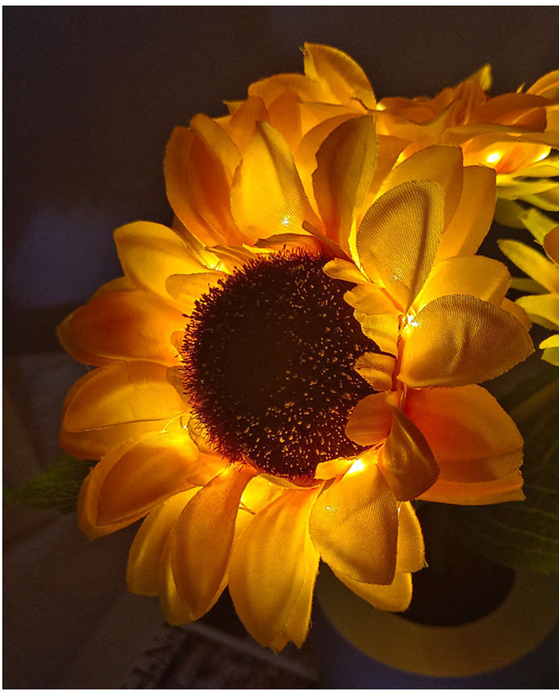 LED Solroslampa för nattljus och atmosfärbelysning