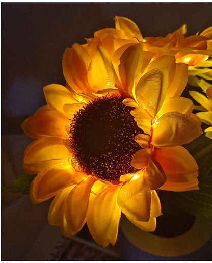 LED Solroslampa för nattljus och atmosfärbelysning