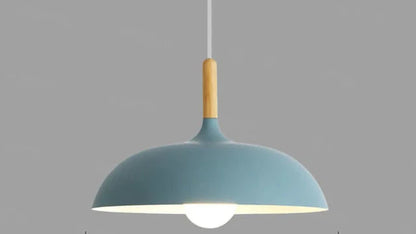 Ekfärgad Taklampa med Skandinavisk Charm