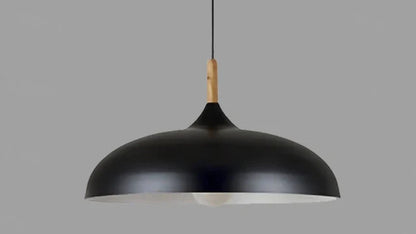 Ekfärgad Taklampa med Skandinavisk Charm