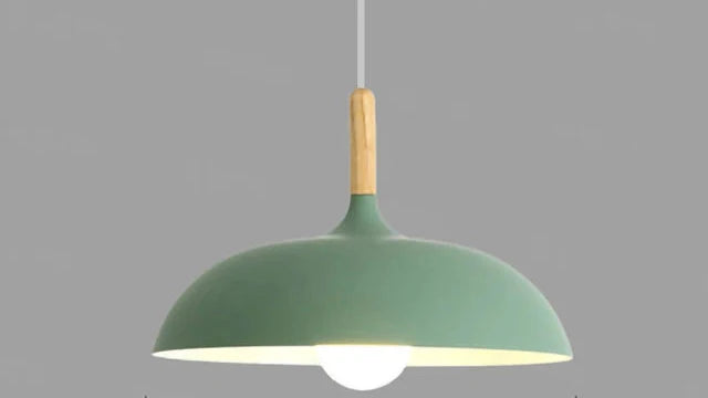 Ekfärgad Taklampa med Skandinavisk Charm