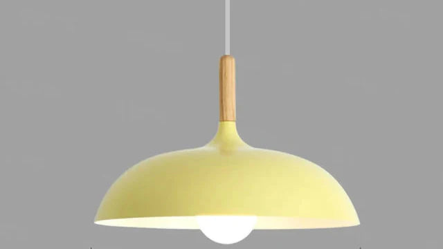 Ekfärgad Taklampa med Skandinavisk Charm