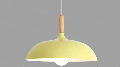 Ekfärgad Taklampa med Skandinavisk Charm