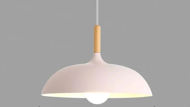 Ekfärgad Taklampa med Skandinavisk Charm