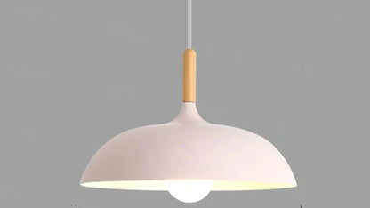 Ekfärgad Taklampa med Skandinavisk Charm