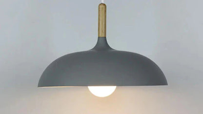 Ekfärgad Taklampa med Skandinavisk Charm