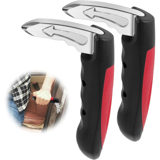 Biltörr Assistent för enklare in- och utstigning