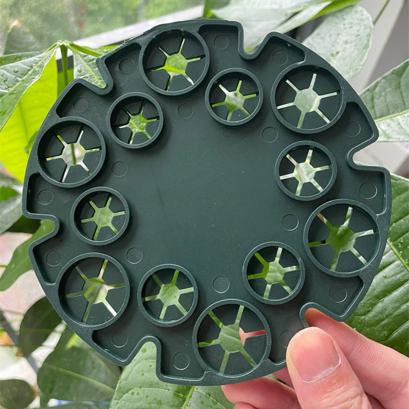 Växtstödering för bambustänger – Stabil klätterhjälp för tomater och klätterväxter