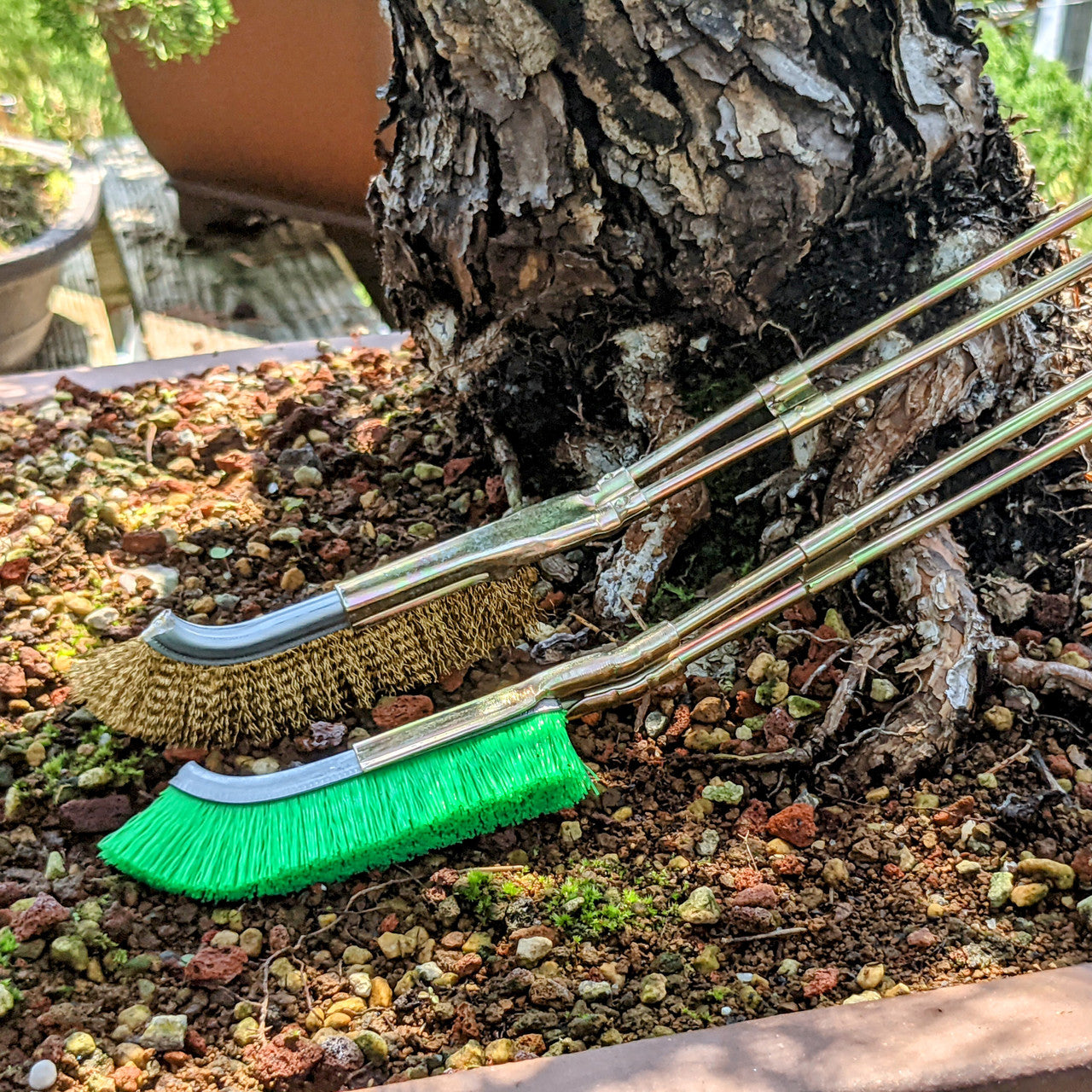 Nylonborste för Bonsai-stamområde rengöring – Trädgårdsvårdsverktyg