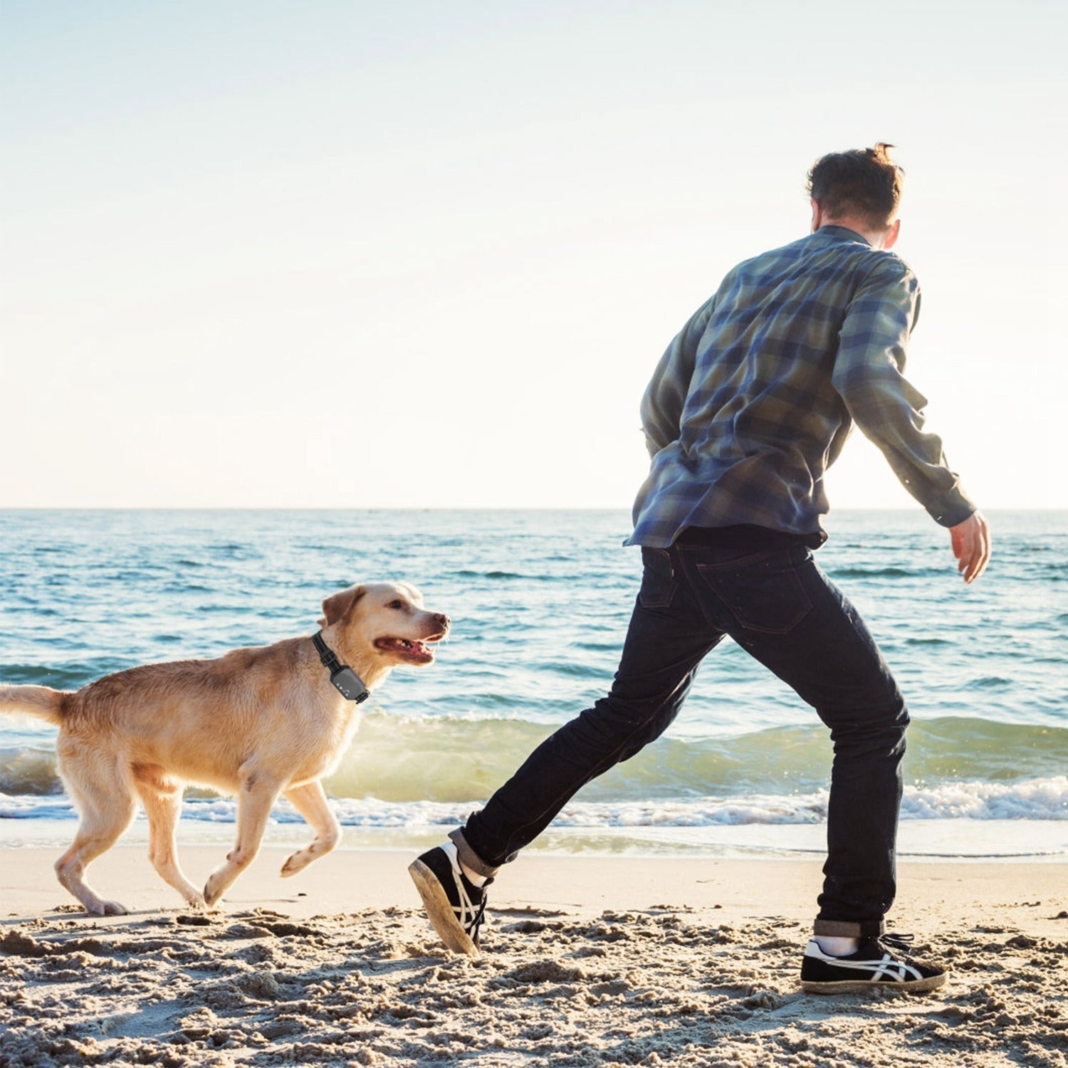 GPS Pro Trådlöst Hundstängsel System – Säkra Din Hundleverans