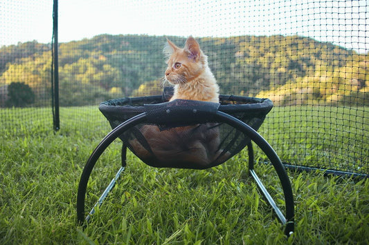 Andningsbar Husdjur Hängmatta