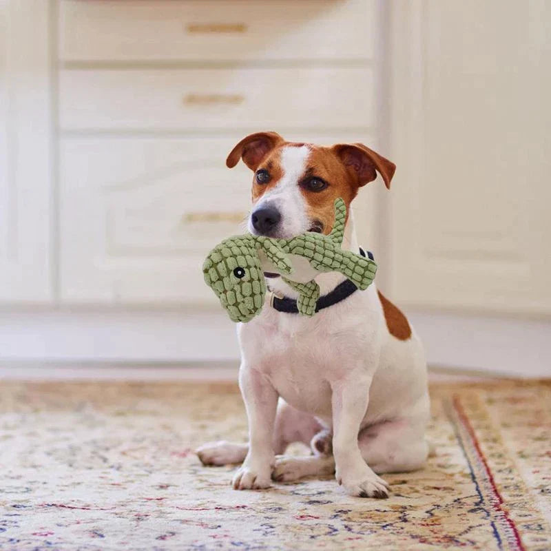 Carvallo | DinoPet - Den säkra, oförstörbara leksaken!