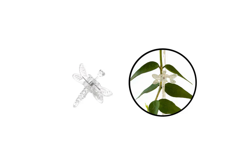 Carvallo Florifix Stängelklämmor för klätterväxter | Osynliga växtstöd | 100 stycken | Transparent design