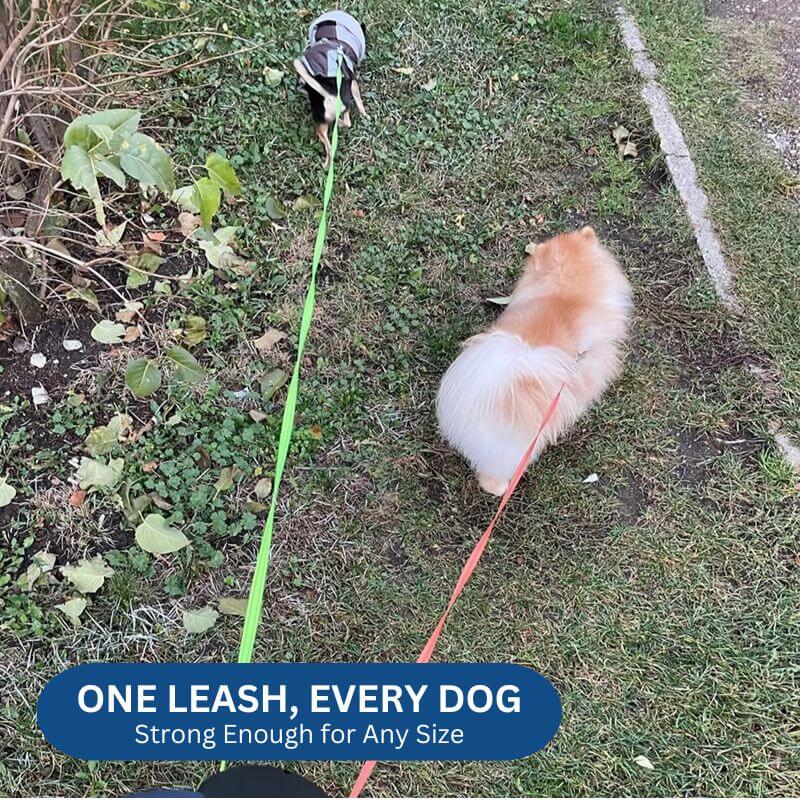Royallure 10 ft Dubbel Återdragbar Hundleash med Inbyggd Ficklampa & Avfallspåsehållare