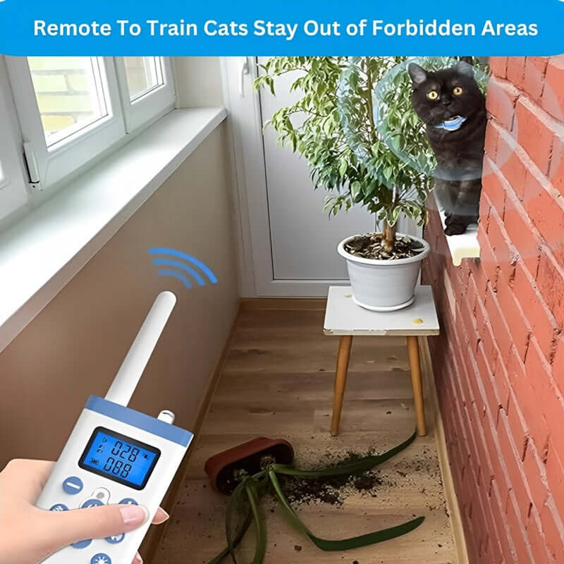 Royallure Katt Träningshalsband med Fjärrkontroll – Mild Meow Beteendehjälp