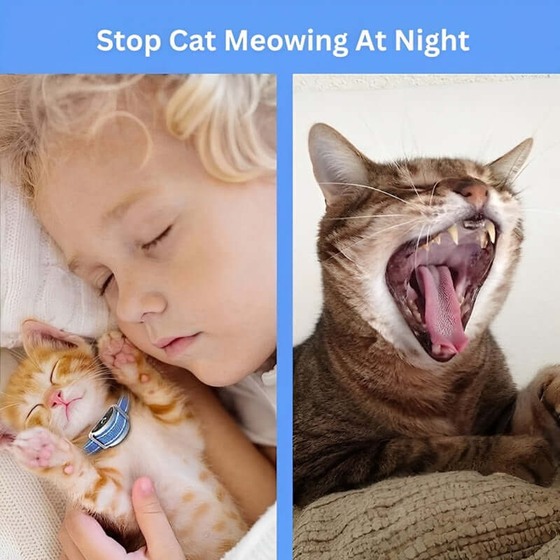 Royallure Katt Träningshalsband med Fjärrkontroll – Mild Meow Beteendehjälp