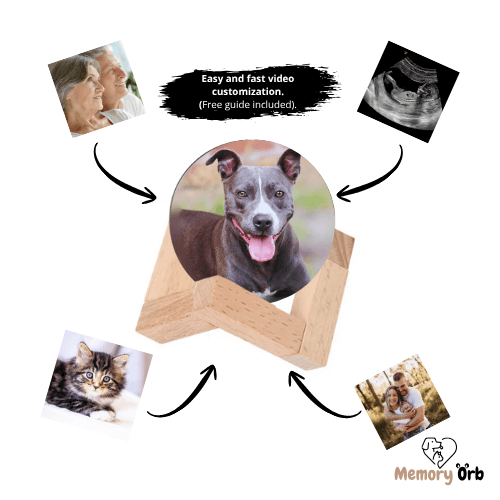 Royallure Memory Orb – Anpassad Videokula med 360° Ljud & USB Uppladdning