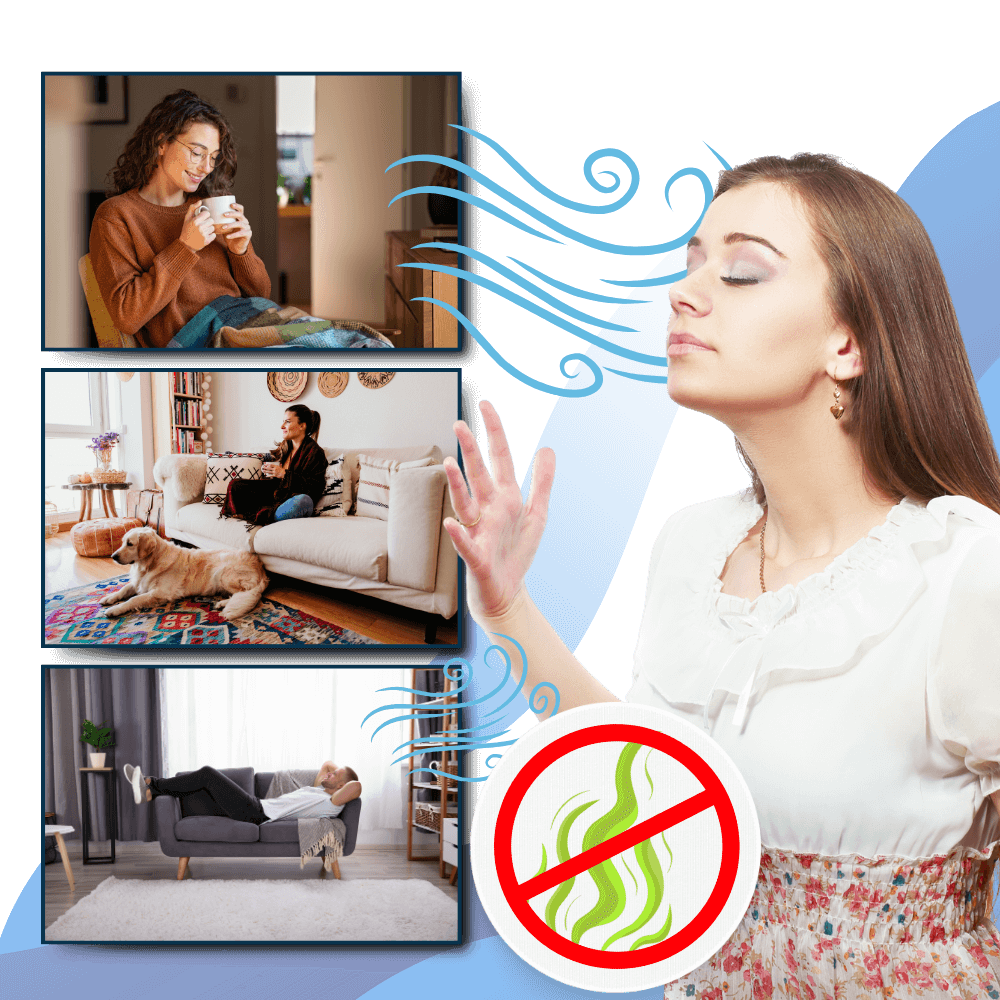 Royallure Multi-Surface UV Desinfektionslampa – Sängbuggsdödare, 99,9% Borttagning av bakterier, Kemikaliefri