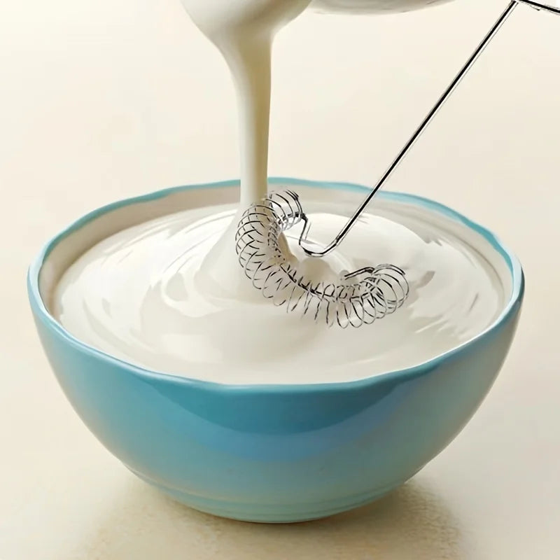 Royallure Rostfritt Stål Vårexpert Mini Vispa Mjölkskummare & Sås Mixer