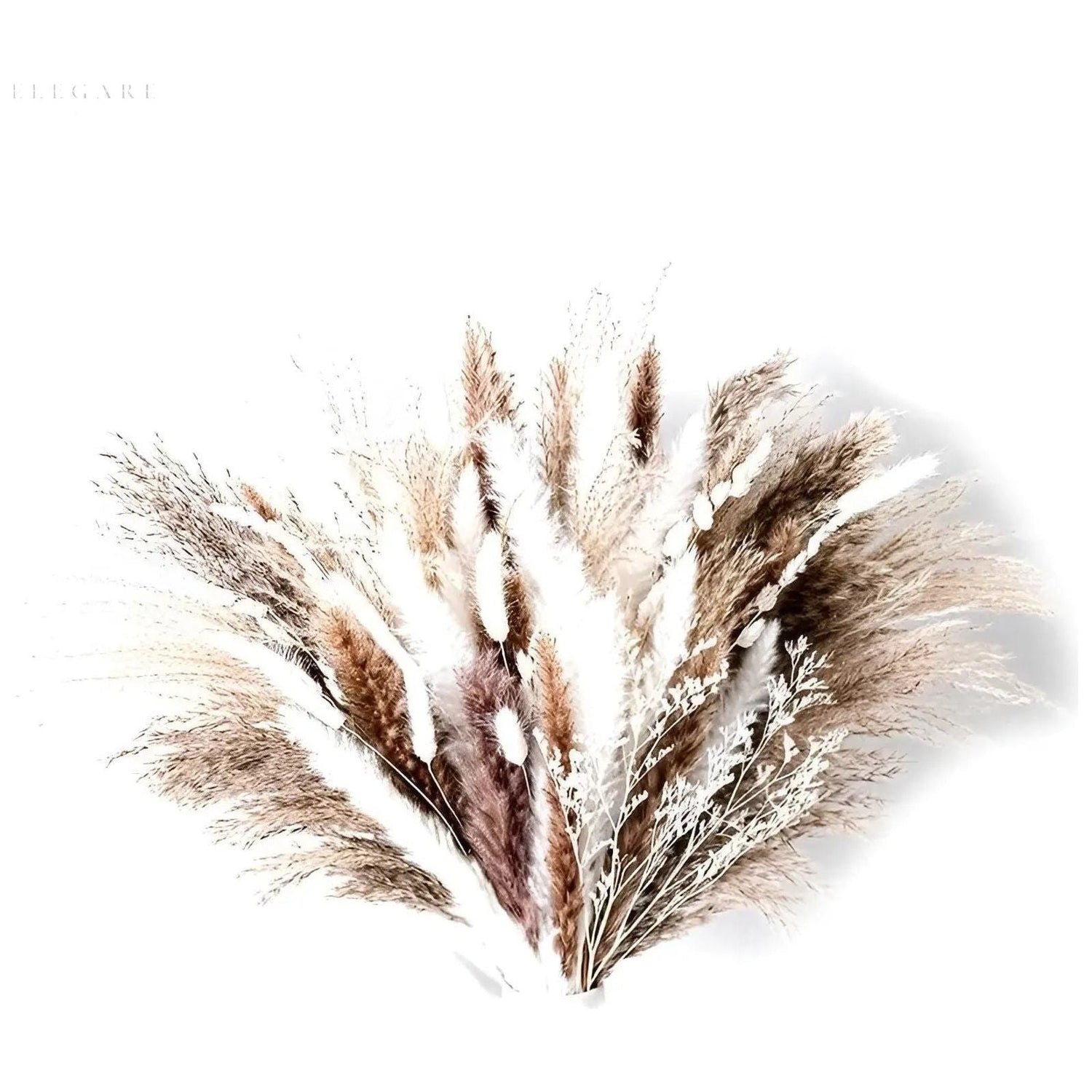 RusticPampas Dekor - Naturlig Fluffig Pampasgräs Boho Hem Blomsterarrangemang