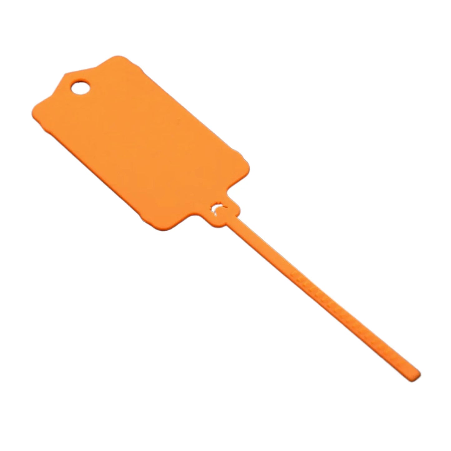 Carvallo FlexiTag 100 | 100 stycken | Återanvändbara plastetiketter med förslutningsband | För nycklar, bagage, lager och kontor