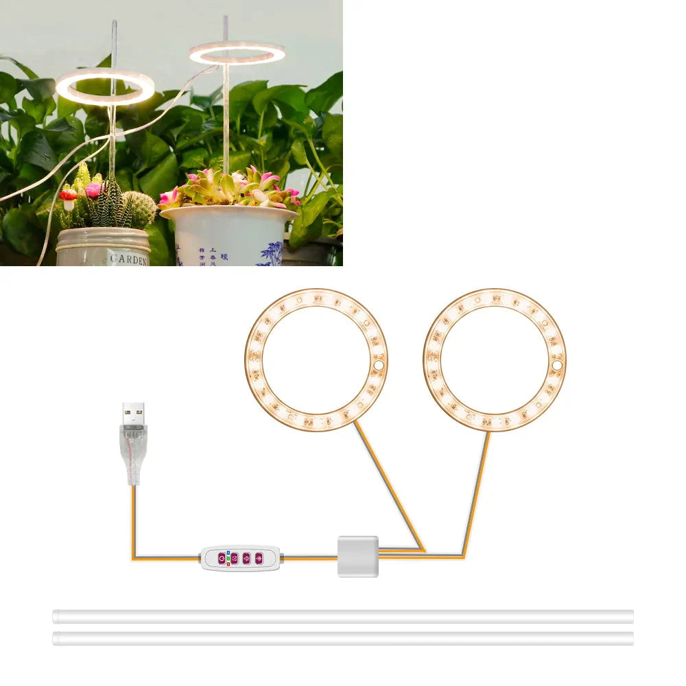 Carvallo Luminara Ring | LED-växtbelysning med timerfunktion | 1–4 huvuden | USB-driven & 5-stegs dimbar