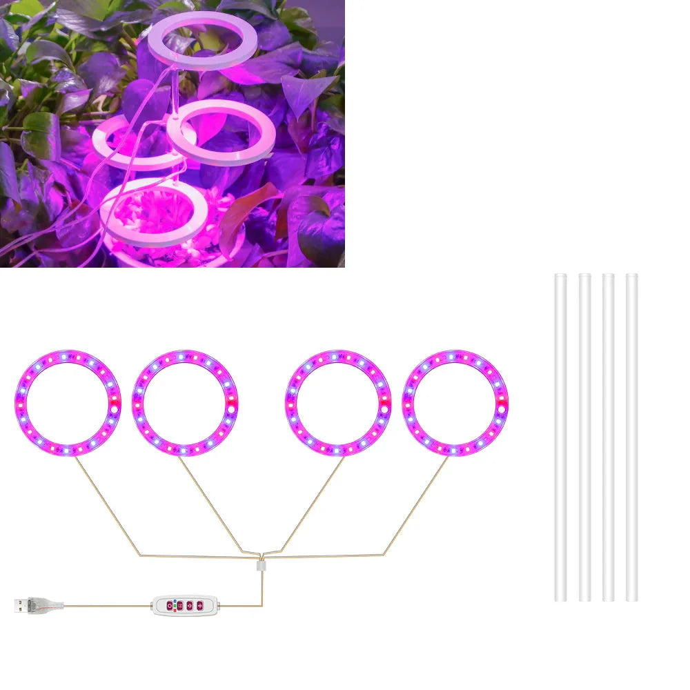 Carvallo Luminara Ring | LED-växtbelysning med timerfunktion | 1–4 huvuden | USB-driven &amp; 5-stegs dimbar