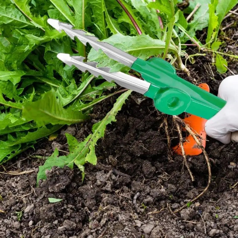 Carvallo Trädgårdspincett i rostfritt stål | Precision verktyg med klospets | Rutschfritt & Rostfritt | 18,8 cm längd