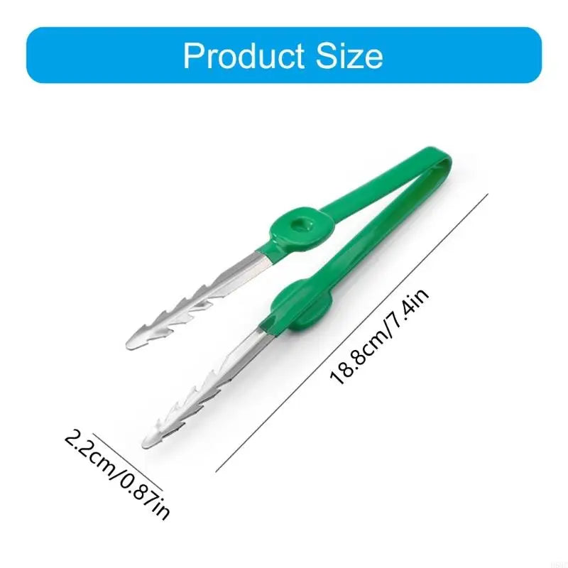 Carvallo Trädgårdspincett i rostfritt stål | Precision verktyg med klospets | Rutschfritt & Rostfritt | 18,8 cm längd