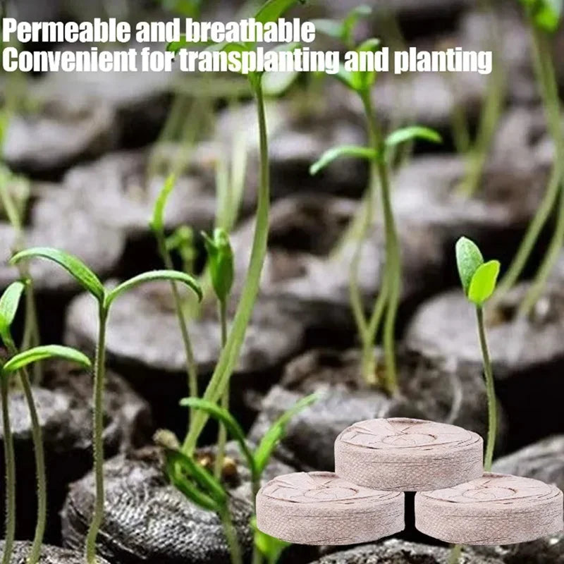 Carvallo 100 stycken kokosbriketter för växtuppdragning | Näringsrik kokosjord | Idealisk för plantor, växthus & hydroponik