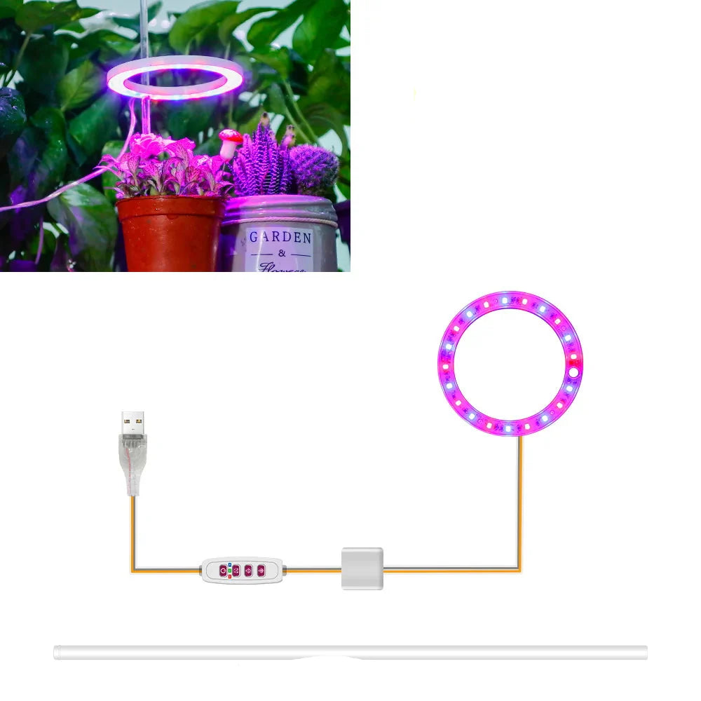 Carvallo Luminara Ring | LED-växtbelysning med timerfunktion | 1–4 huvuden | USB-driven &amp; 5-stegs dimbar