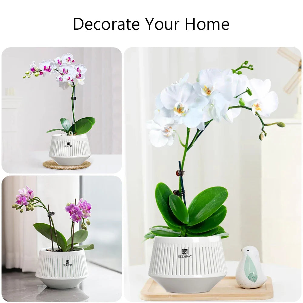 Carvallo Orchid Pot | Ventilerad planteringskruka med dräneringshål | 12 cm | Robust PP-material för inomhus och utomhus