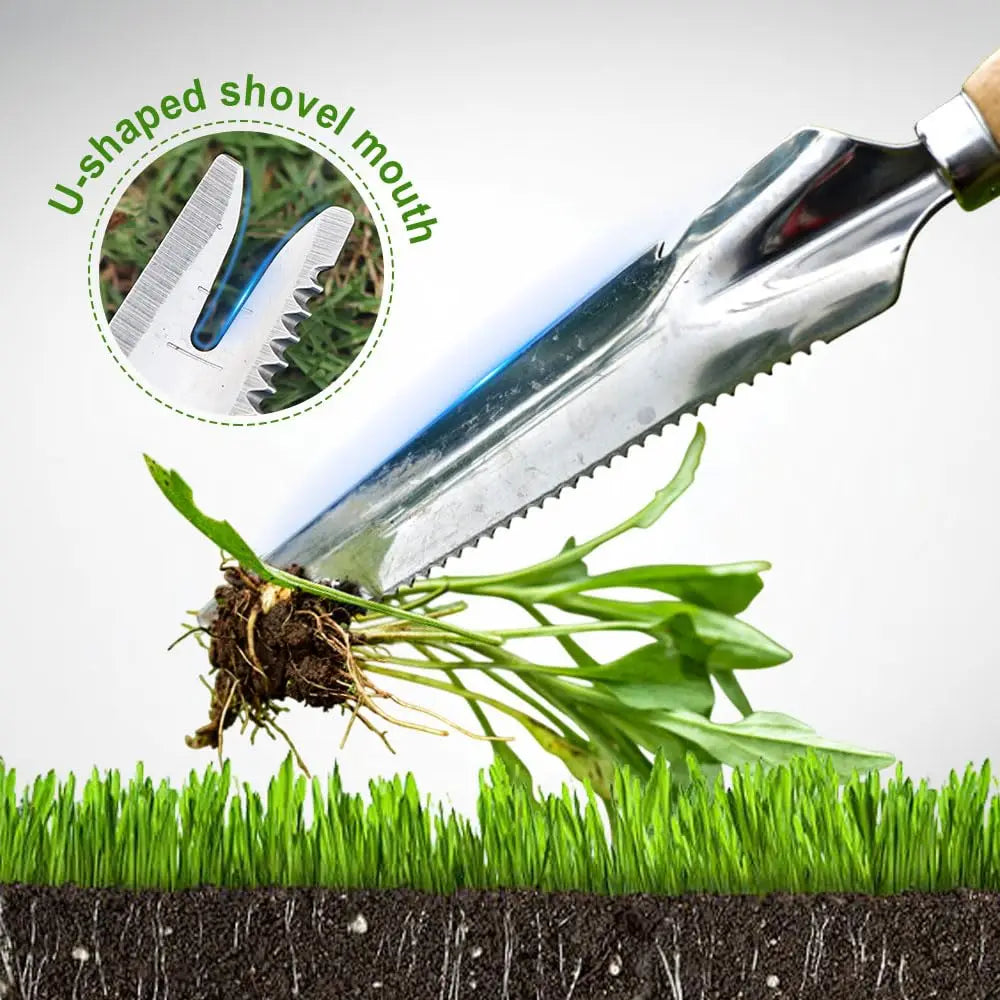 Carvallo Classic | Ogräsvettare med trähandtag | Handjägare i rostfritt stål | För fogar, rabatter och trädgårdsskötsel