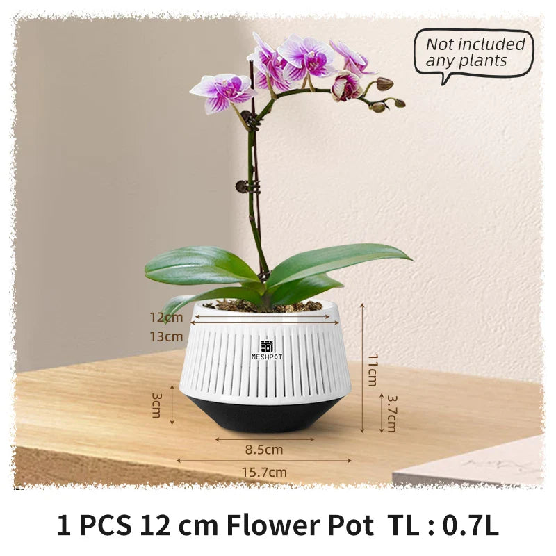 Carvallo Orchid Pot | Ventilerad planteringskruka med dräneringshål | 12 cm | Robust PP-material för inomhus och utomhus