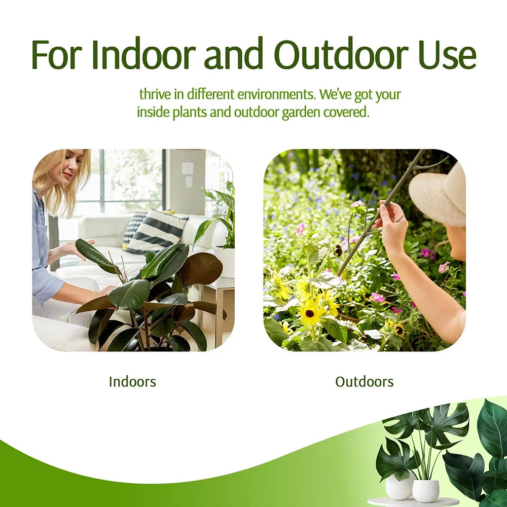 Carvallo växtstöd 3-pack | Stapelbar & Ästetisk | Naturlig look | För inomhus- & trädgårdsväxter