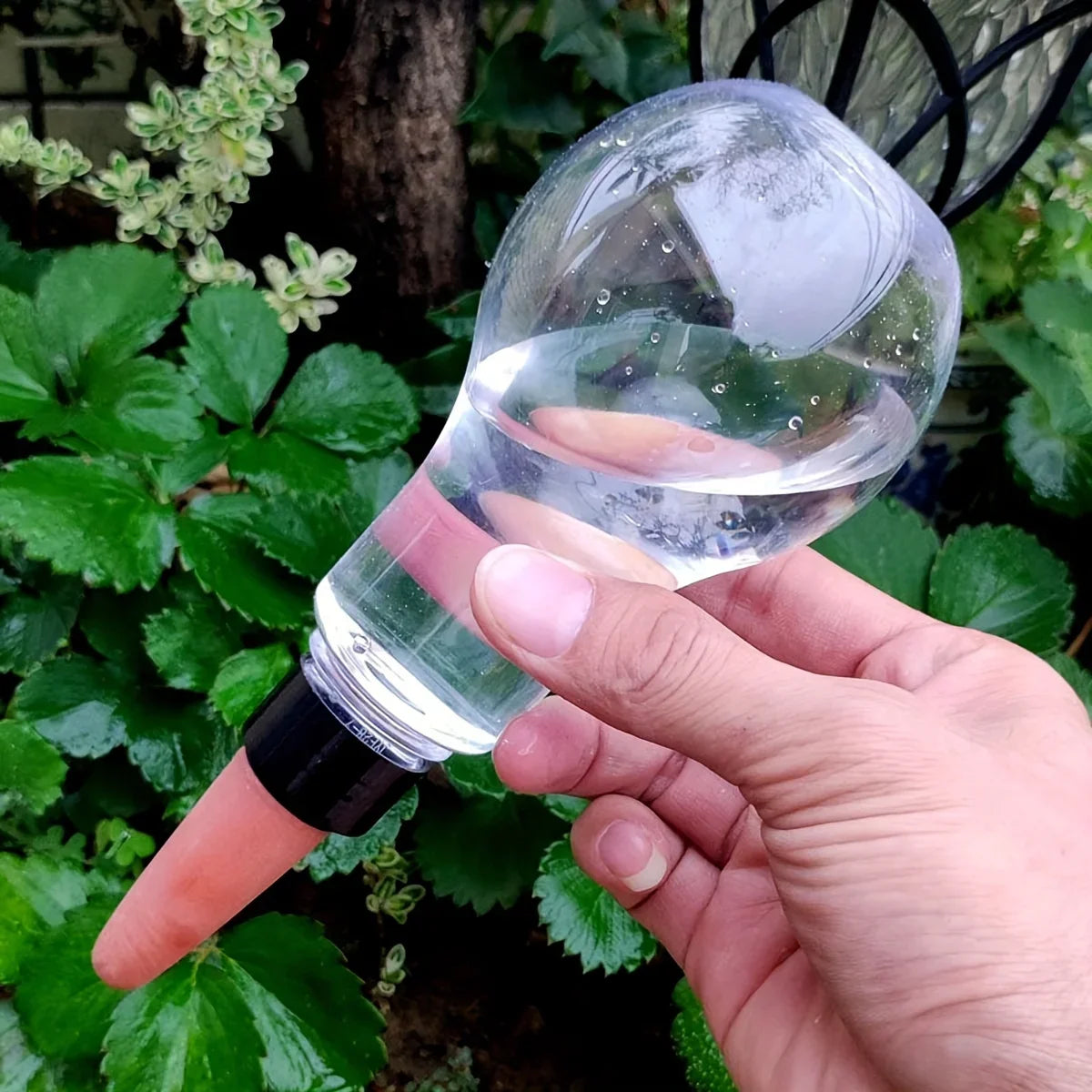 Carvallo AquaSpike | Automatisk växtvattnare | 320 ml | För rum- & balkongväxter