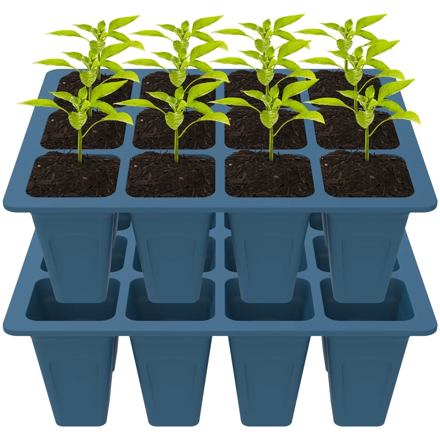 Carvallo Silikon | BPA-free & Reusable | 12 Cells with Drainage | 2-Pack in Black or Dark Green