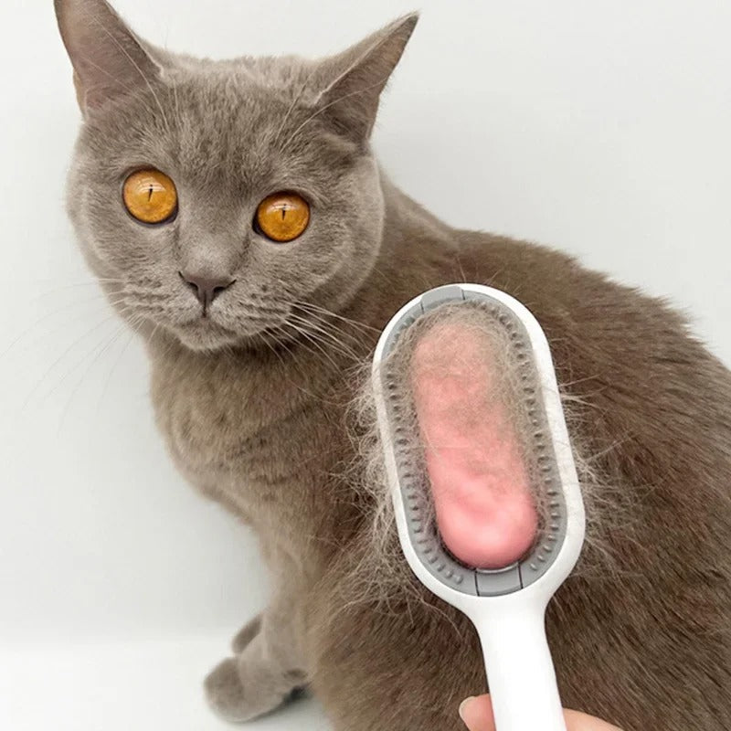 Carvallo | PawLuxe – Den Mjuka Vården För Ditt Husdjur!