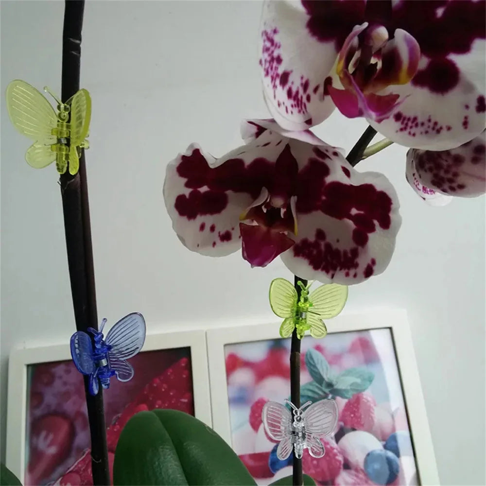 Carvallo 30 stycken orkidé- och växtklipp | Färgade fjärilsclips | För klätterhjälpmedel och växtstöd | Plast