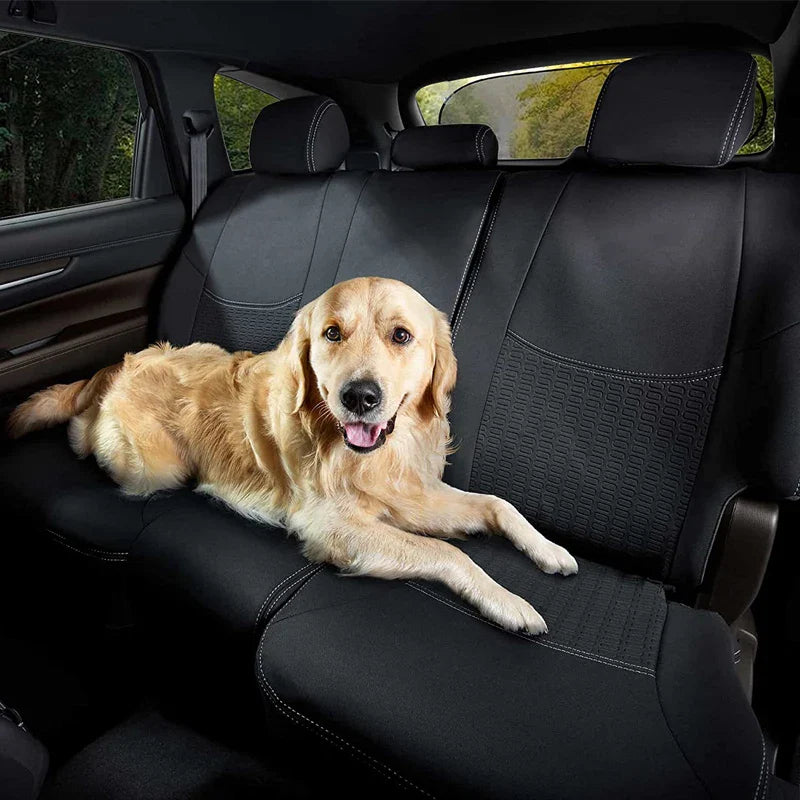 Carvallo ProShield Bil Solskydd Set | För fram-, bak- & sidofönster | 99 % UV-skydd | Med sugkoppar | Fällbar & värmereducerande