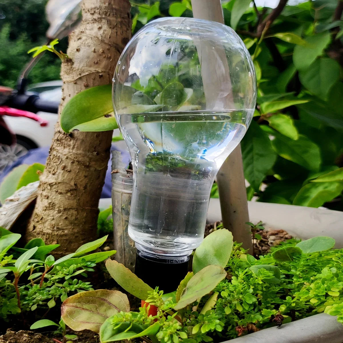 Carvallo AquaSpike | Automatisk växtvattnare | 320 ml | För rum- & balkongväxter